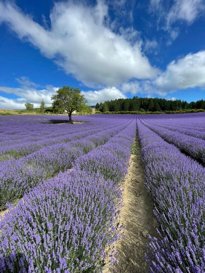 A Mont Nos Hotes 2 Mollans-sur-Ouvèze Buitenkant foto